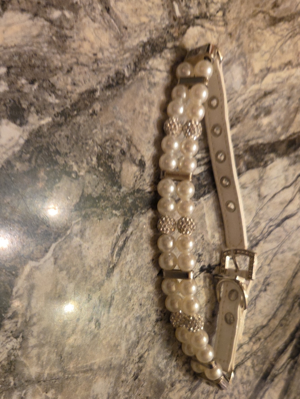 Fancy Small Dog Collar